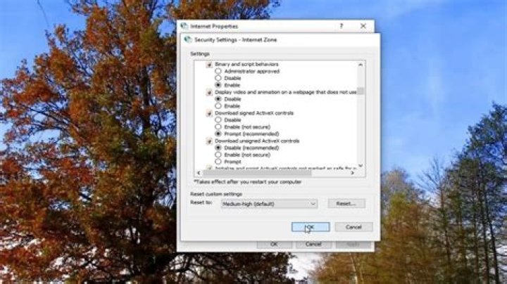 How do I download ActiveX?