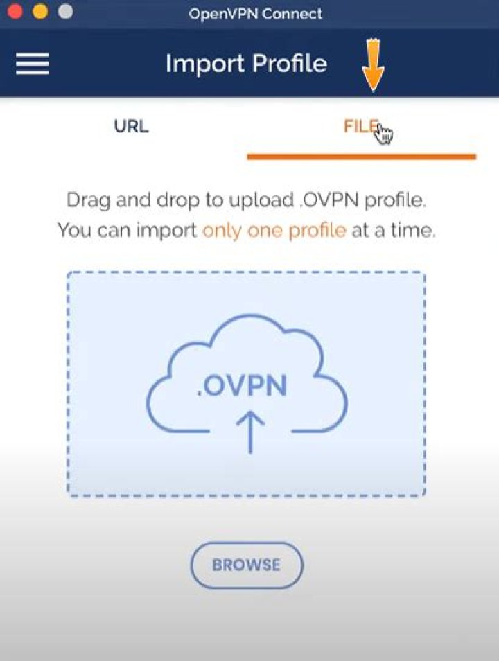 How do I edit OpenVPN config file?