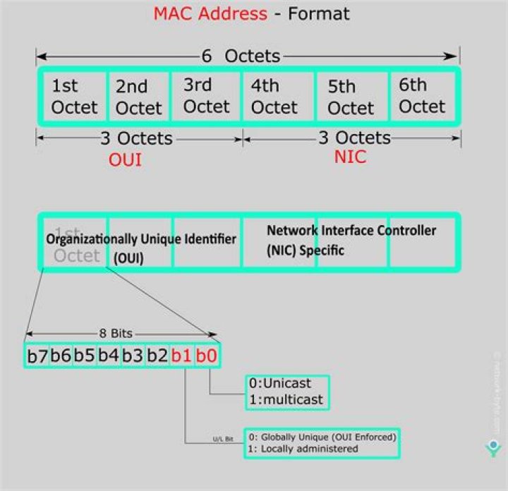 How do I filter out MAC addresses?