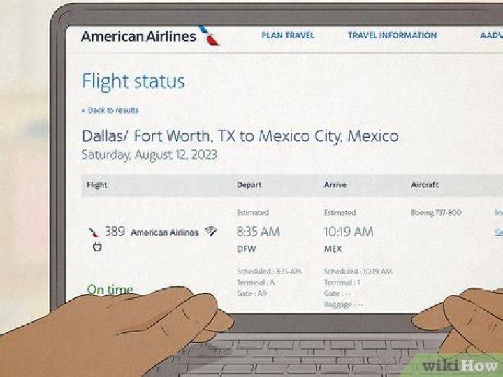 How do I find flight details?