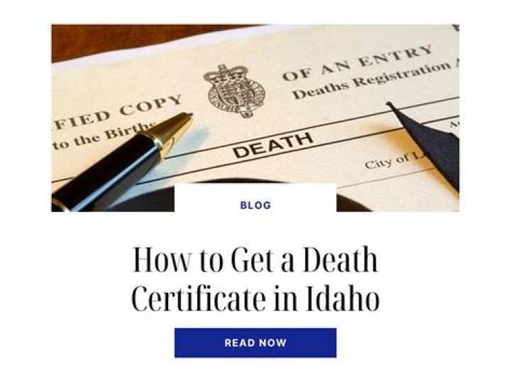 How do I find my local court records?