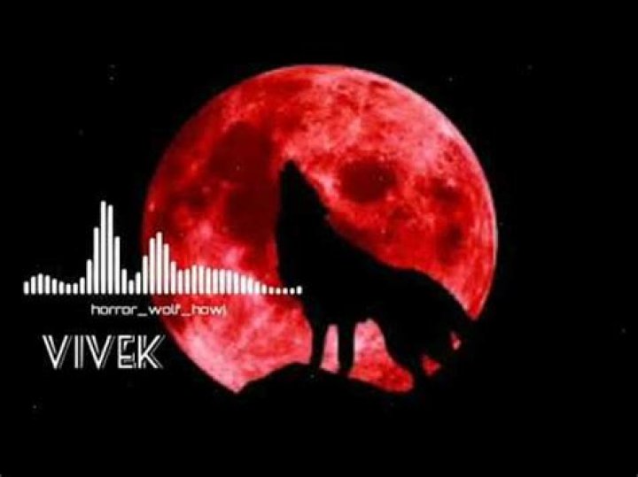 How do I get a wolf howl ringtone?