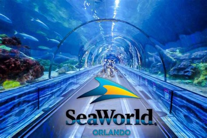 How do I get my pictures from SeaWorld?
