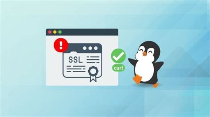 How do I ignore an SSL certificate error?