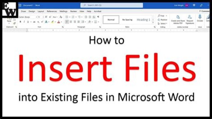 How do I insert an ODT file into Word?