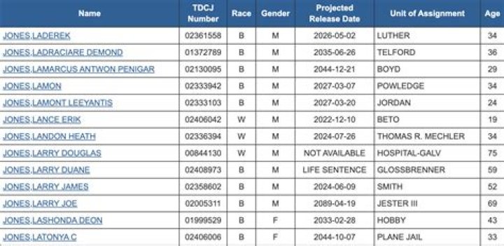 How do I look up an inmate in Texas?