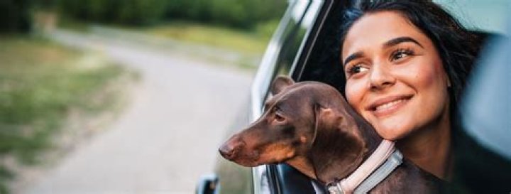 How do I pay my patelco auto loan?