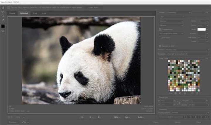 How do I save a GIF in Photoshop 7?