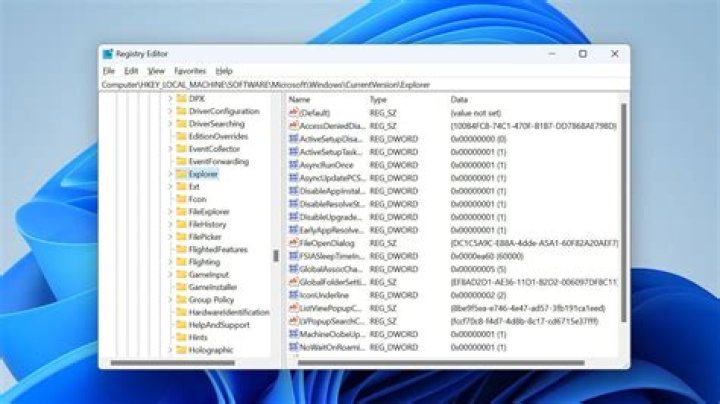 How do I use the G flags in the registry?