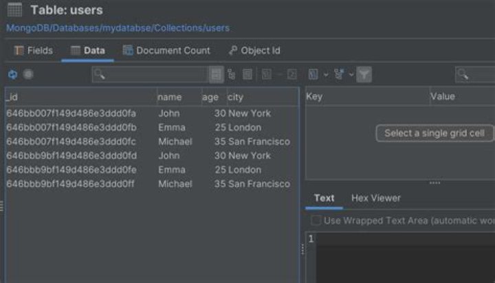 How do I view data in MongoDB table?