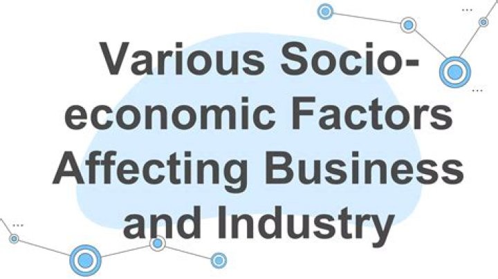 How do socio economic factors affect business?