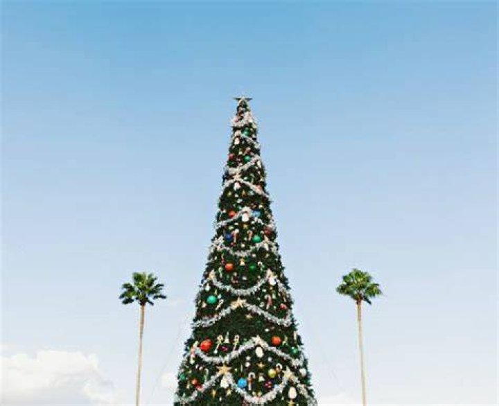 How do they celebrate Christmas in the Southern Hemisphere?