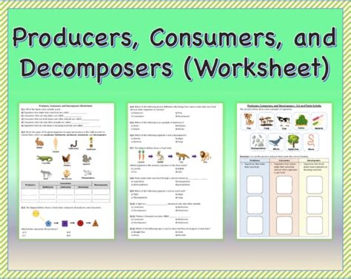 How do we participate in the market as producers and consumers Class 10?