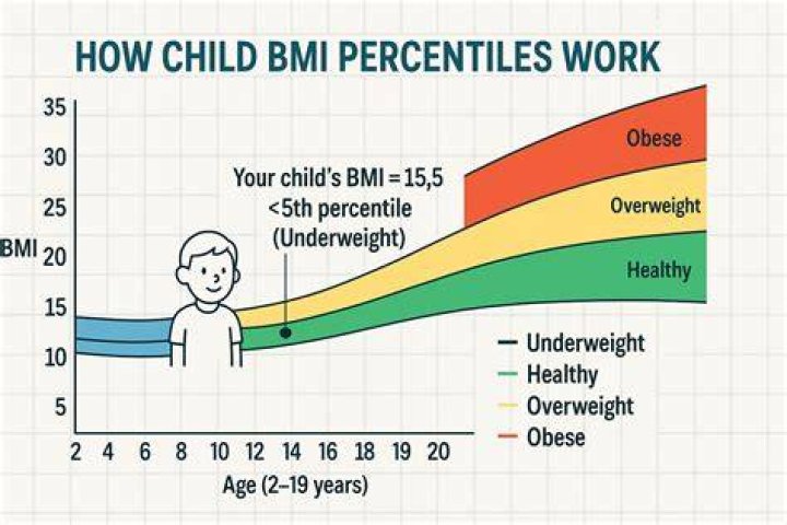 How do you calculate BMI percentile?