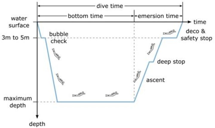 How do you calculate dive time?
