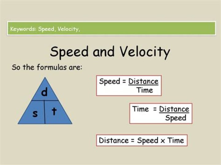 How do you calculate speed and velocity?