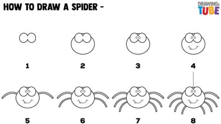 How do you draw spiders?