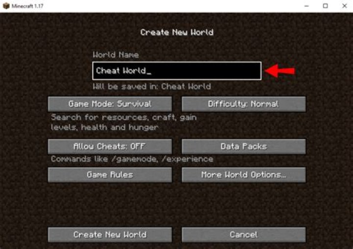 How do you enable cheats on Iphone Minecraft?