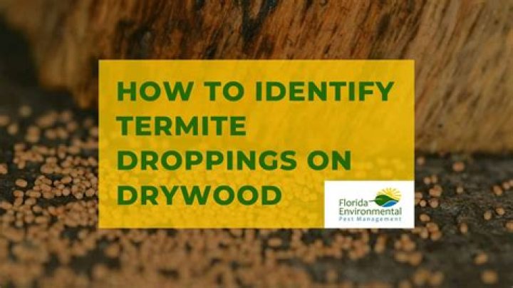 How do you identify drywood termite droppings?