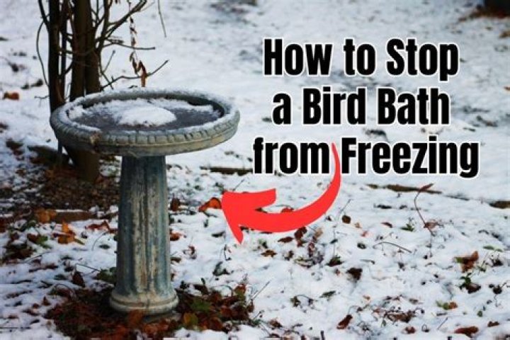 How do you keep a bird bath from freezing without electricity?