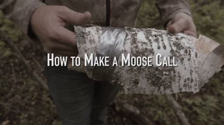How do you make a moose call?