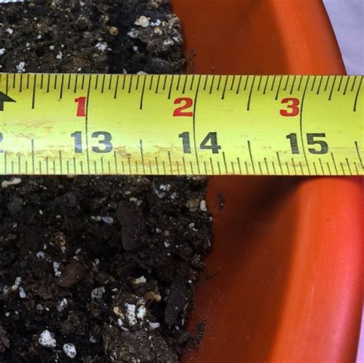 How do you measure freshness of flowers?
