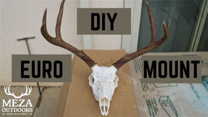 How do you mount a deer antler with a skull cap?