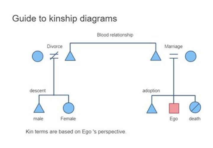 How do you show divorce on kinship diagram?