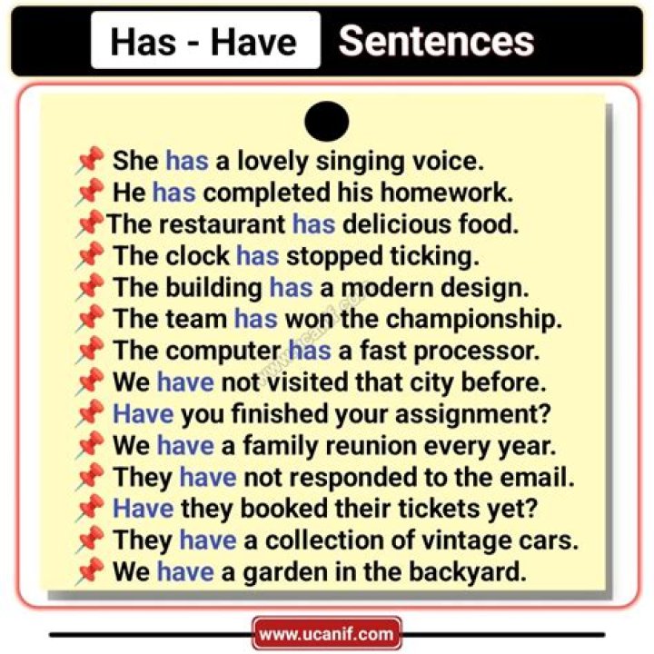 How do you use have and has in a sentence?
