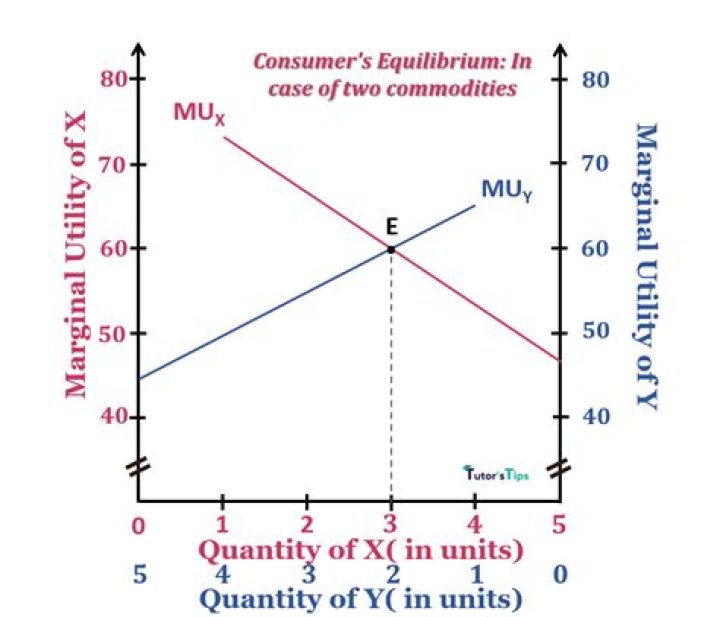 How does a consumer maximize utility?