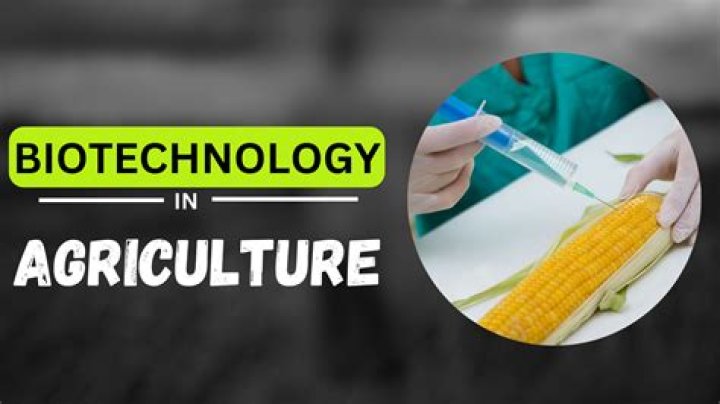 How does agricultural biotechnology impact society?
