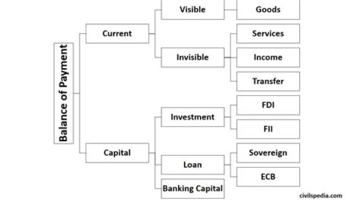 How does balance of payment help in economic development?