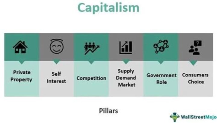 How does capitalism function in Nigeria?