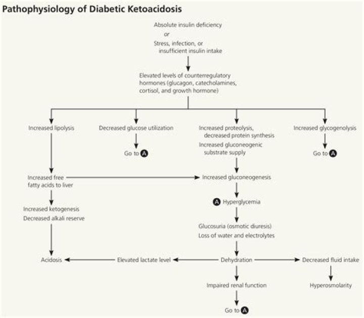How does diabetic ketoacidosis cause metabolic alkalosis?