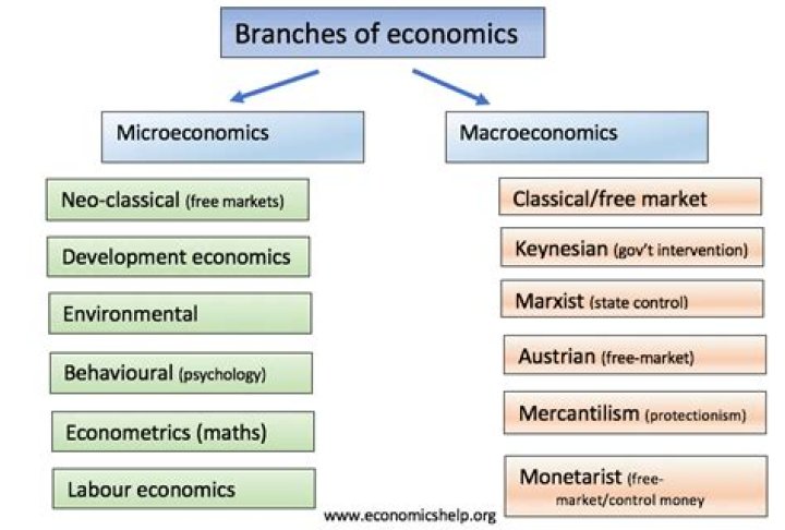 How does economics relate to law?