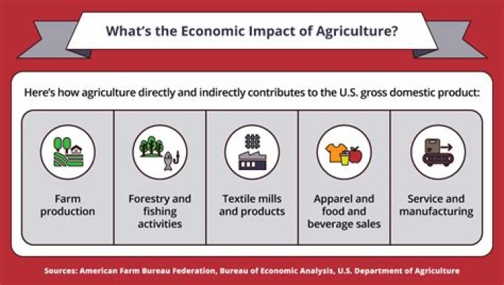 How does food contribute to the economy?