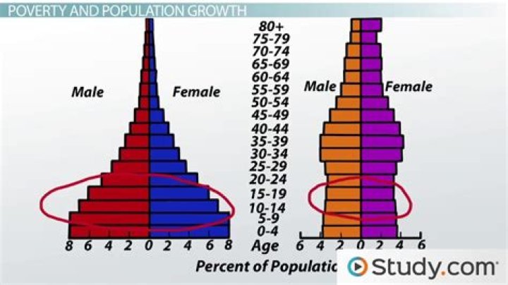 How does population affect the economy?