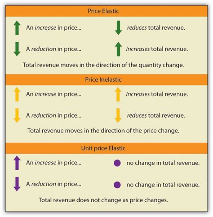 How does price elasticity affect pricing decisions in business?