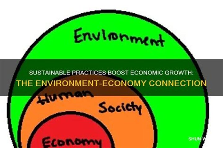 How does protecting the environment help the economy?