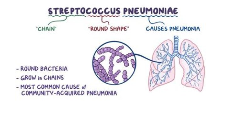 How does Streptococcus pneumoniae cause pneumonia?