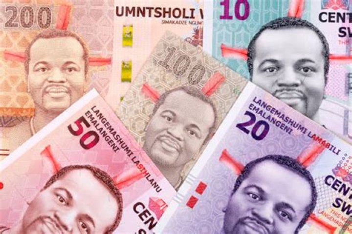 How does Swaziland make its money?