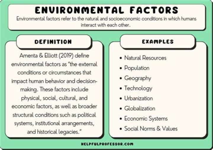 How does the environment affect economic development?
