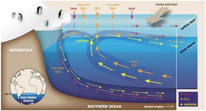 How does the Southern Ocean circulate?