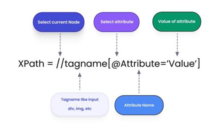 How does XPath find attribute value?