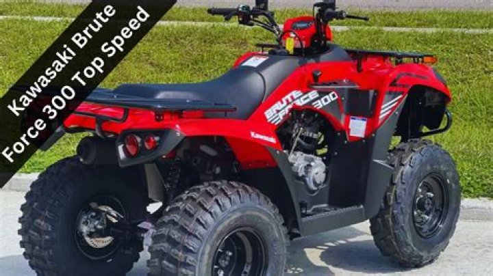 How fast can a Brute Force 300 go?
