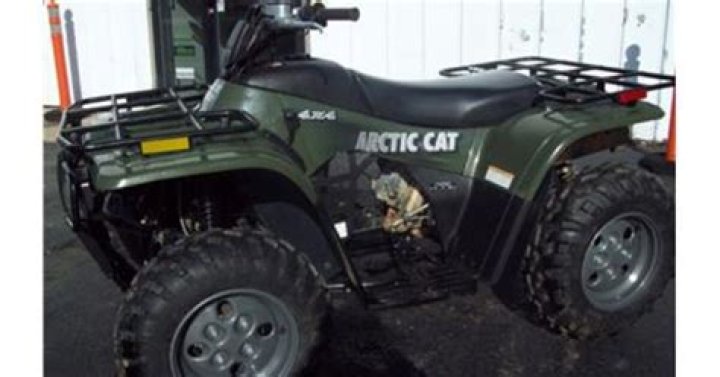 How fast does a 250 Arctic Cat Go?