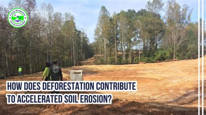 How has deforestation increased soil erosion?