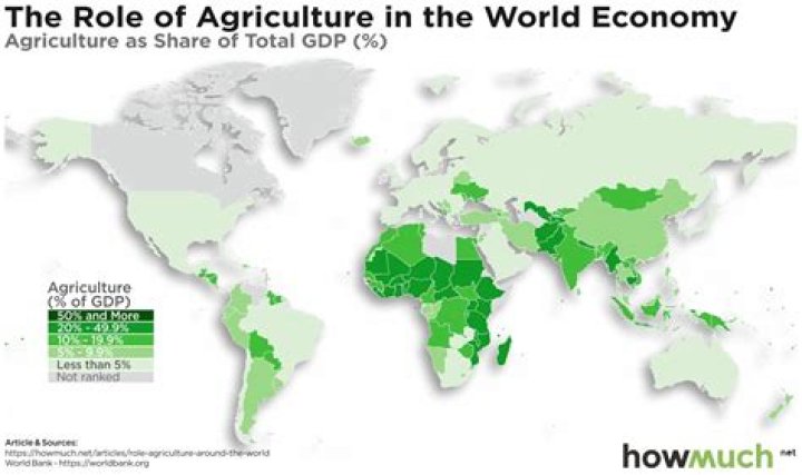 How is agriculture important to the economy?