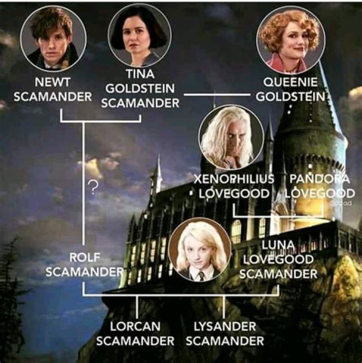 How is Luna Lovegood related to Newt Scamander?
