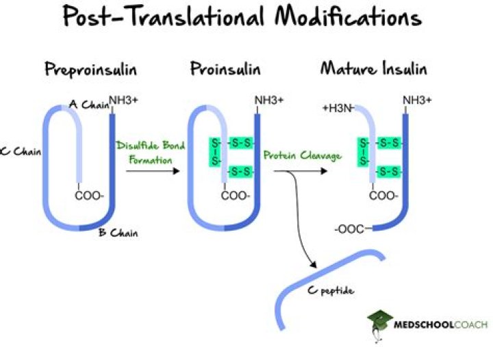 How is post-translational modification detected?